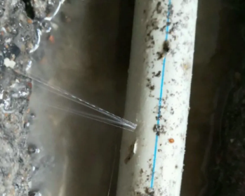 桓仁卫生间测漏水多少钱